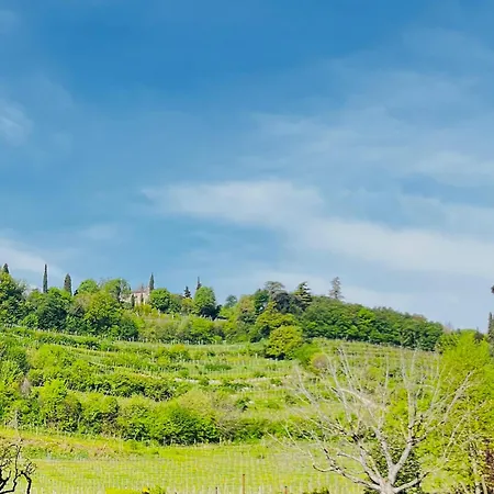 公寓 La Volpe E L'uva Lavagno